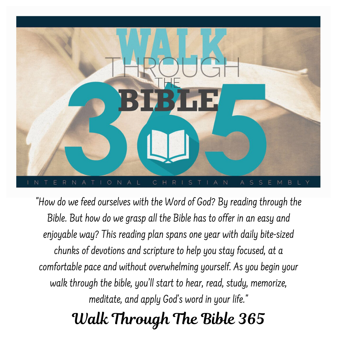Walk Through The Bible 365 - June - Catrerry